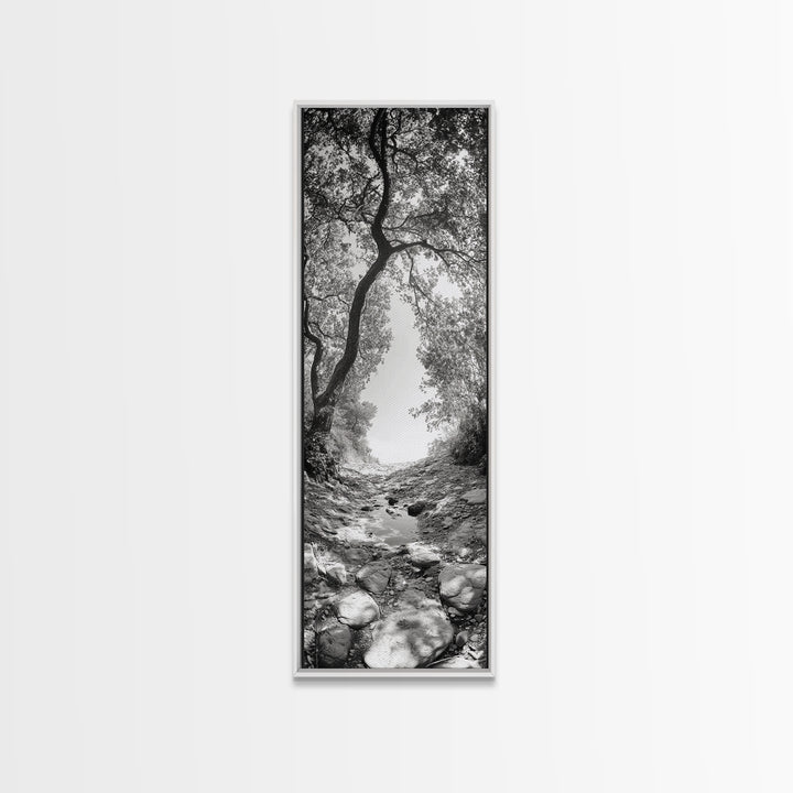 Forest Path, Rock Creek, Canopy Light, Calm Nature Scene, Canvas Print, Entryway Wall Art, Tranquil Minimalist Landscape Print
