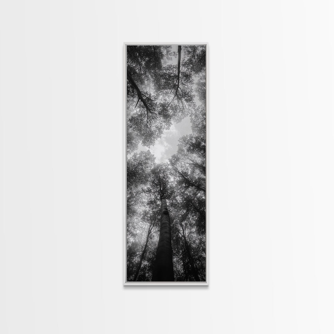Forest Canopy, Nature Perspective, Tranquil Trees, Black and White, Framed Canvas Print, Cabin Wall Art, Scandinavian Decor, Minimalist Style