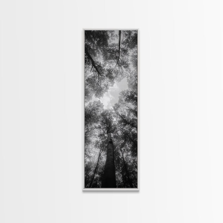 Forest Canopy, Nature Perspective, Tranquil Trees, Black and White, Framed Canvas Print, Cabin Wall Art, Scandinavian Decor, Minimalist Style