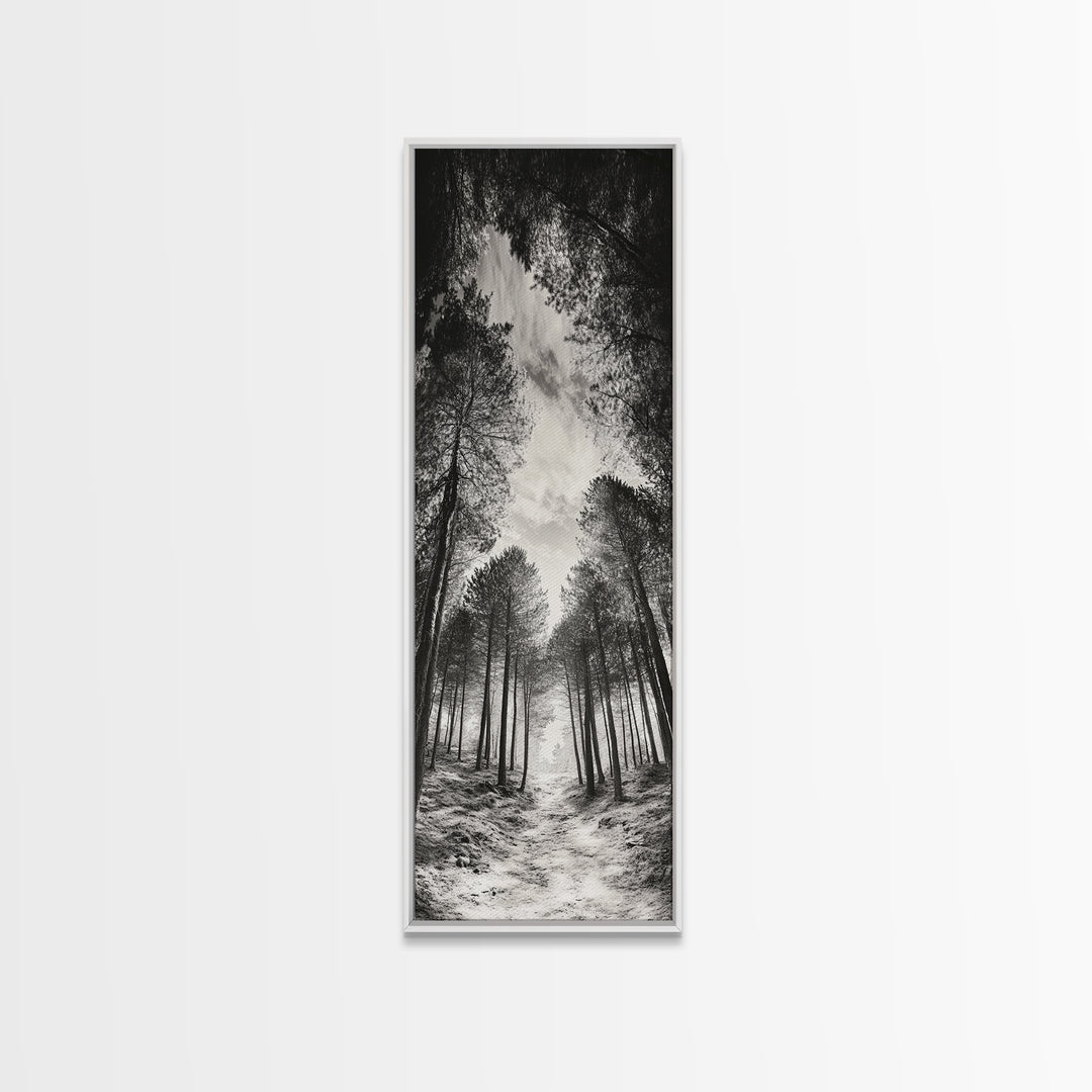Pine Forest, Nature Path, Tree Canopy, Tranquil Woods, Canvas Print, Forest Wall Art, Minimalist Nature Decor, Meditation Room Artwork