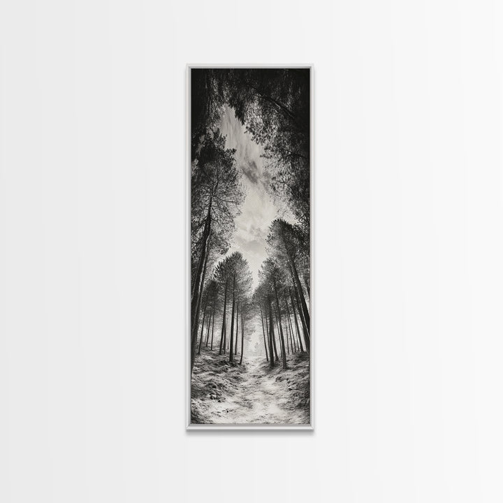 Pine Forest, Nature Path, Tree Canopy, Tranquil Woods, Canvas Print, Forest Wall Art, Minimalist Nature Decor, Meditation Room Artwork