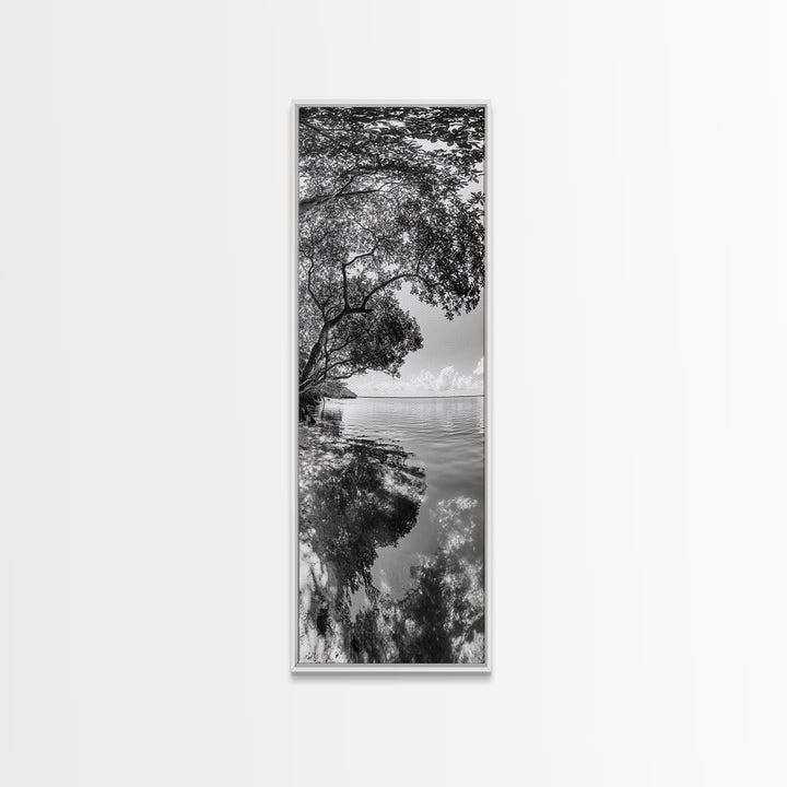 Mangrove Shoreline, Tree Reflections, Still Waters, Tranquil Escape, Black White Nature Framed Canvas Print, Zen Wall Art Entryway Decor