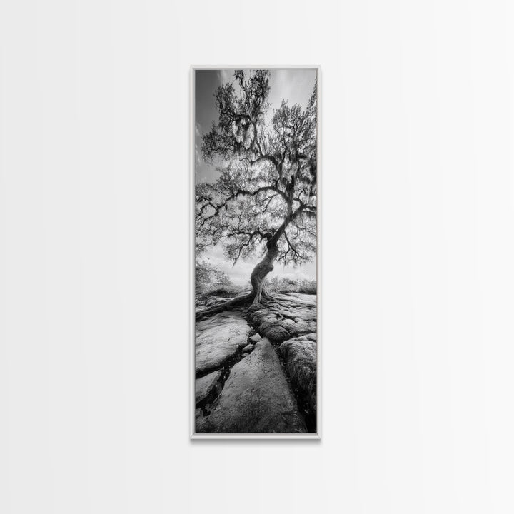 Wisdom Oak Tree, Forest Roots, Ancient Energy, Framed Canvas Print, Rustic Living Room Wall Art, Nature Inspired, Boho Woodland Art