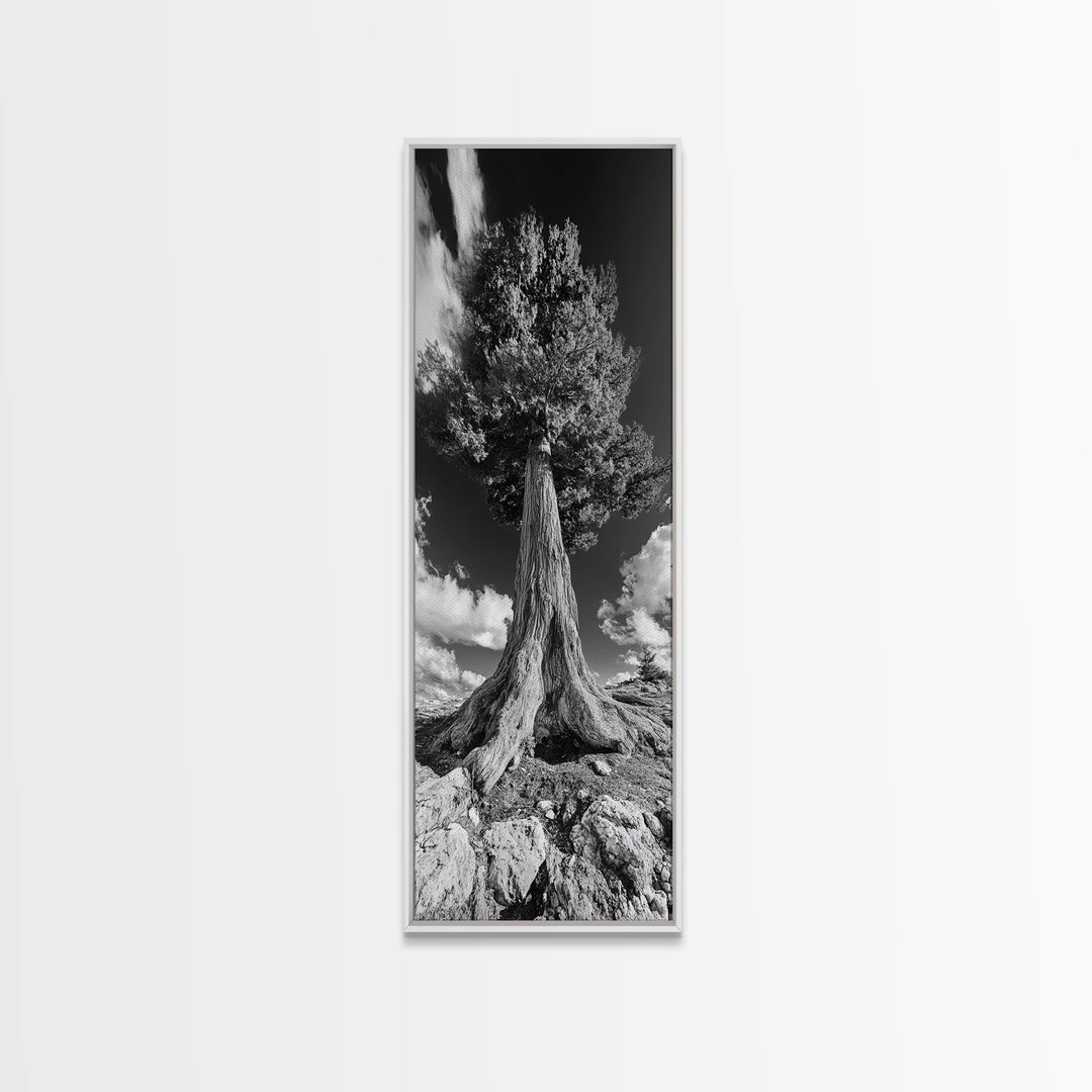 Majestic Tree, Nature Power, Earth Energy, Black White Art, Framed Canvas Print, Modern Rustic Decor, Cabin Wall Art, Tree Lover Gift