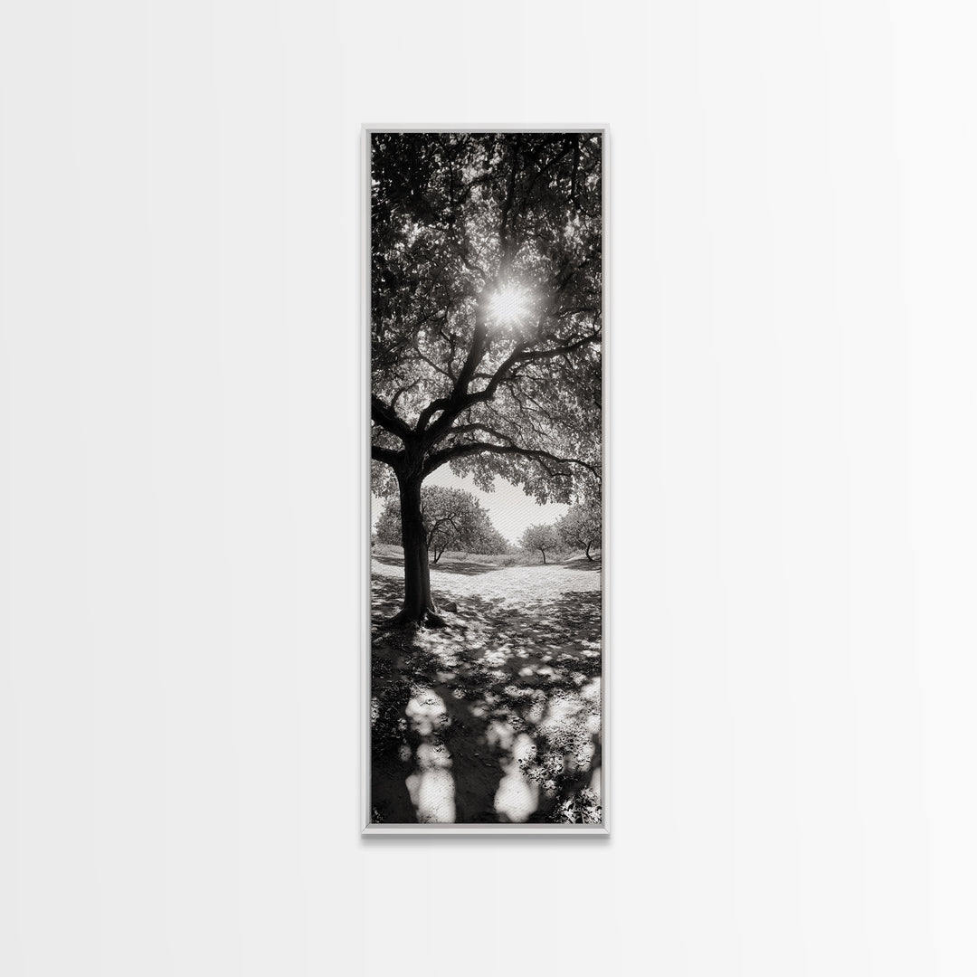 Sunlight Tree, Autumn Glow, Nature Shadowplay, Black White Forest Scene, Canvas Print, Fall Living Room Art, Boho Earthy Wall Decor