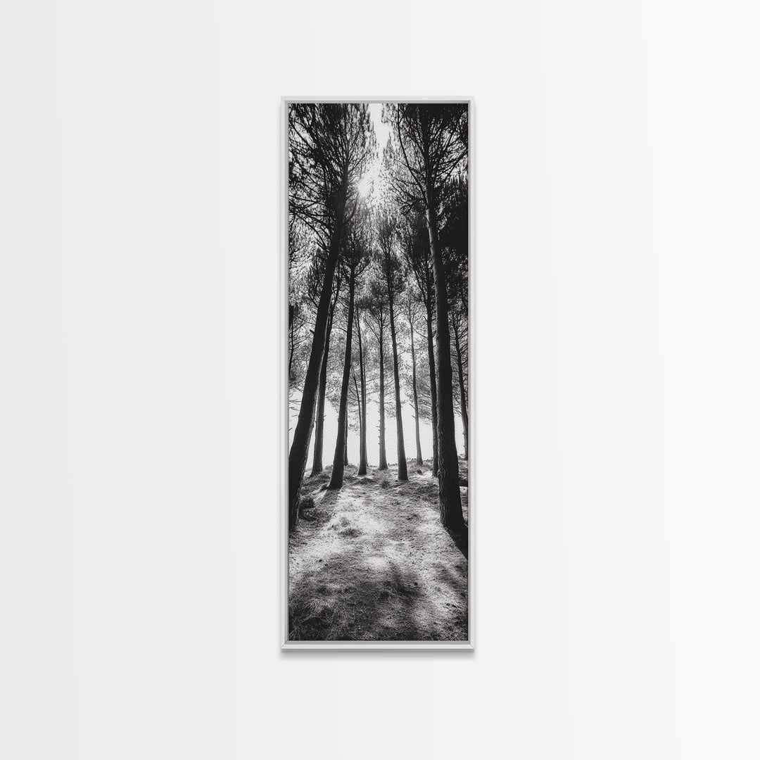Pine Forest Glow, Woodland Landscape, Monochrome Nature, Boho Style, Framed Canvas Print, Entryway Print, Living Room Wall Art, Game Room Art