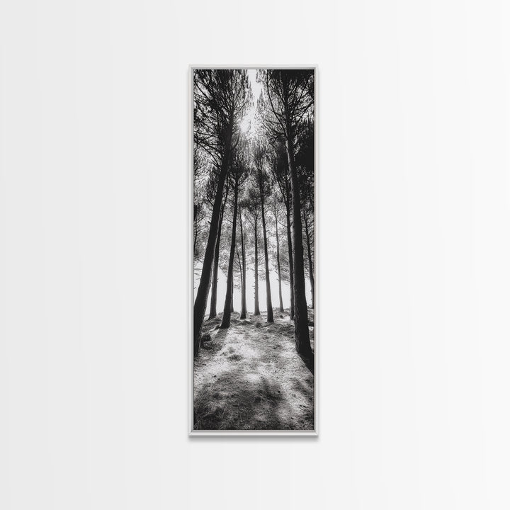 Pine Forest Glow, Woodland Landscape, Monochrome Nature, Boho Style, Framed Canvas Print, Entryway Print, Living Room Wall Art, Game Room Art
