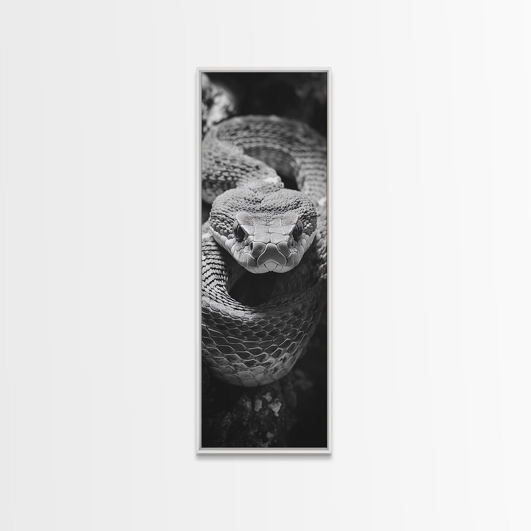 Coiled Snake, Wild Reptile, Black and White Snake, Fierce Eyes, Framed Canvas Print, Nature Lover Wall Art, Masculine Office Decor