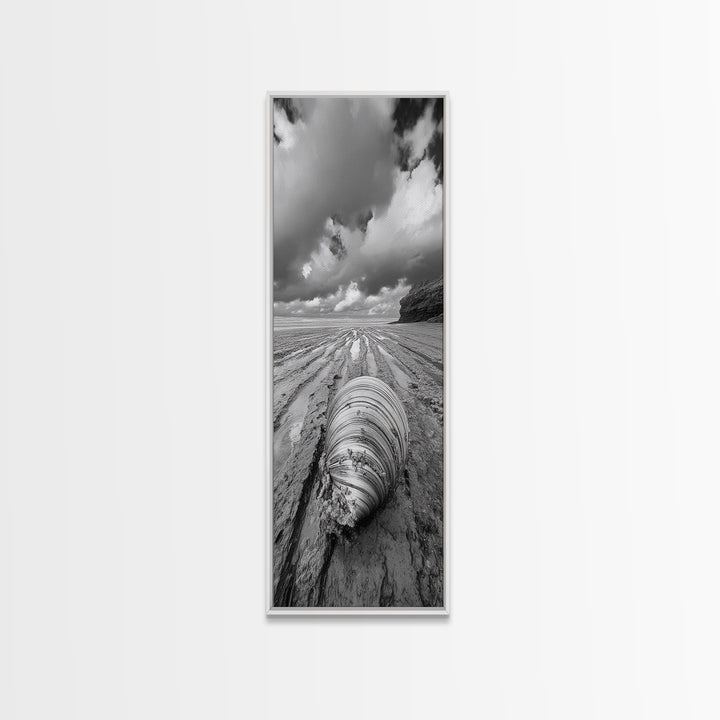 Ocean Clam, Moody Beach, Tidal Lines, Coastal Detail, Canvas Print, Nautical Bathroom Wall Art, Black and White Ocean Decor,  Den Wall Piece