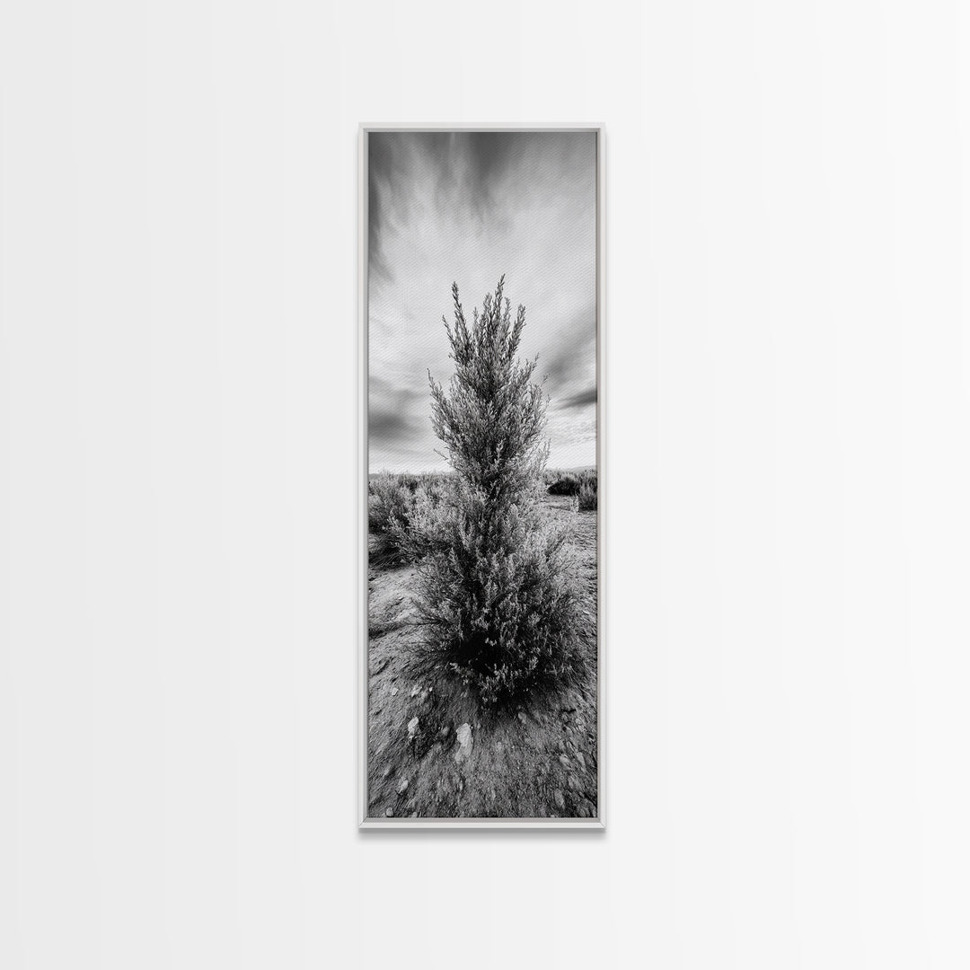 Desert Tree, Nature Minimalism, Solitary Landscape, Framed Canvas Print, Living Room Wall Art, Earth Tone Art, Tranquil Modern Decor