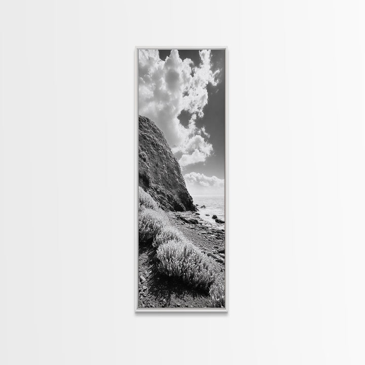 Coastal Shrubs, Rocky Beach, Sunlit Cliffside, Framed Canvas Print, Kitchen Wall Art, Black and White Nature, Scandinavian Home Style
