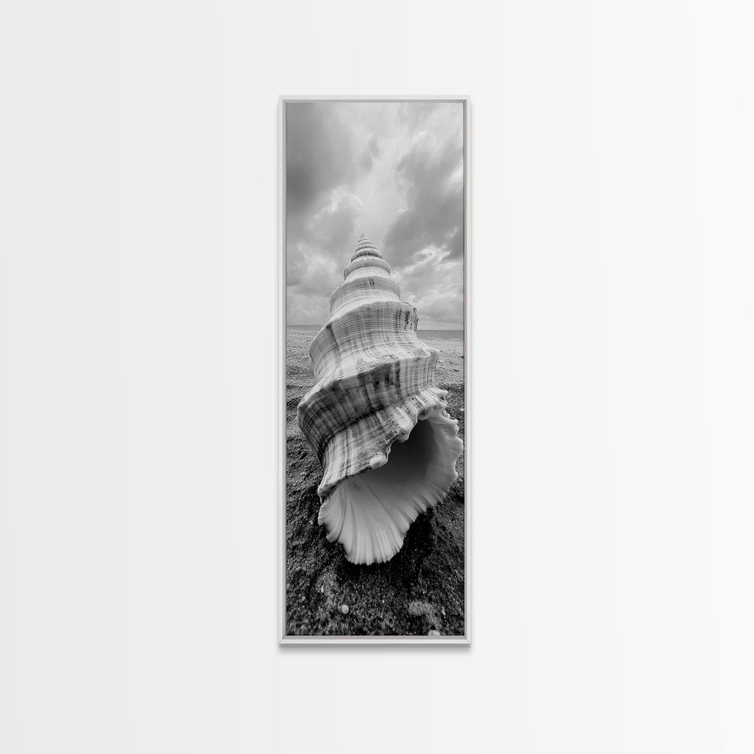 Shell Closeup, Ocean Texture, Natural Spiral, Minimalist Shell, Seashell Photography Framed Canvas Print, Coastal Kitchen Wall Art