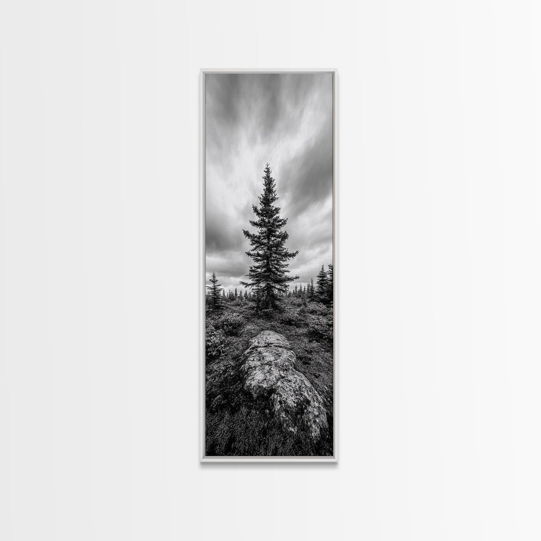 Lone Pine Tree, Forest Mood, Wilderness Art, Framed Canvas Print, Minimalist Wall Decor, Cabin Art, Neutral Fall Tones, Nature Lover Gift