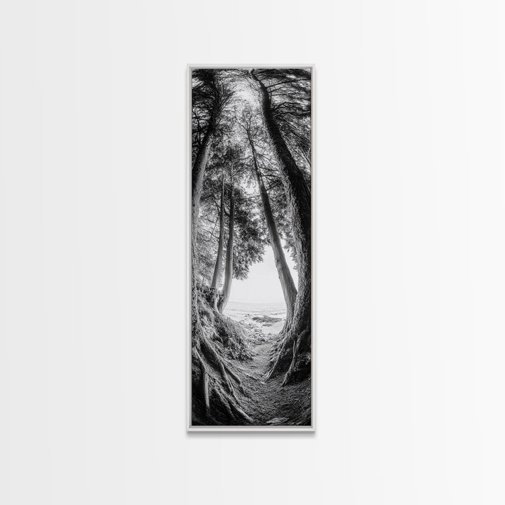 Forest Path, Ocean View, Tall Trees, Canvas Print, Black and White Nature Art, Entryway Wall Art, Rustic Woodland Aesthetic, Bedroom Wall Art