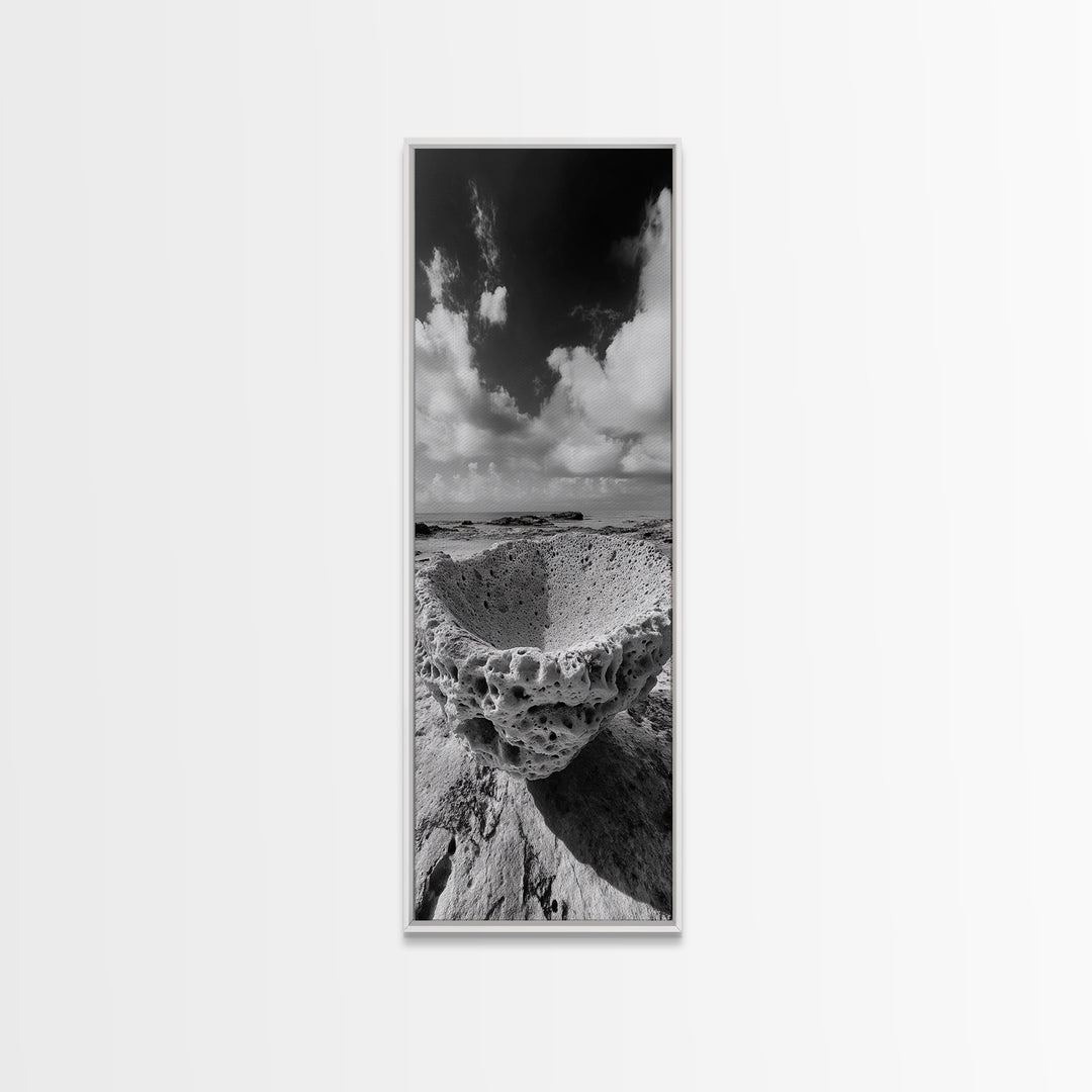 Sea Sponge, Coastal Rock, Ocean View, Canvas Print, Minimalist Nature Photography, Bathroom Wall Art, Black and White Ocean Decor