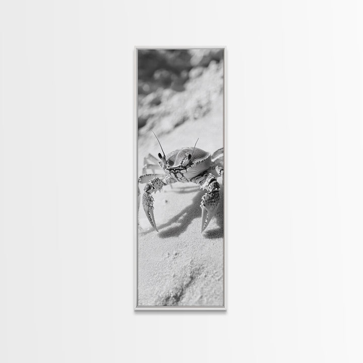 Sand Crab, Coastal Vibes, Beach Creature, Desert Aesthetic, Monochrome Wall Art, Canvas Print, Boho Bathroom Decor, Ocean Life Artwork