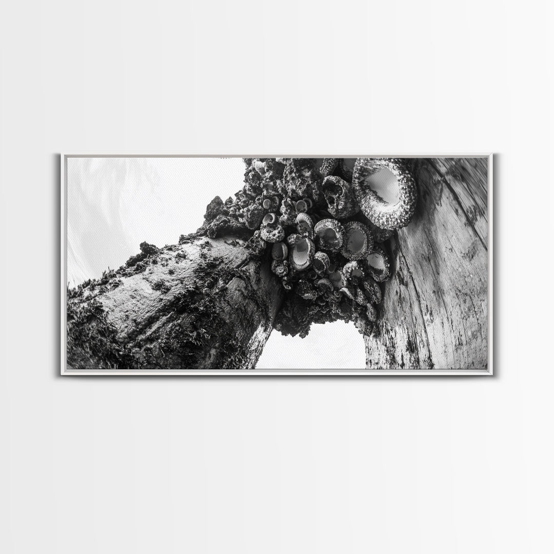 Coastal Texture, Tidepool Abstract, Modern Ocean Nature, Framed Canvas Print, Bathroom Wall Art, Marine Minimalist Photography