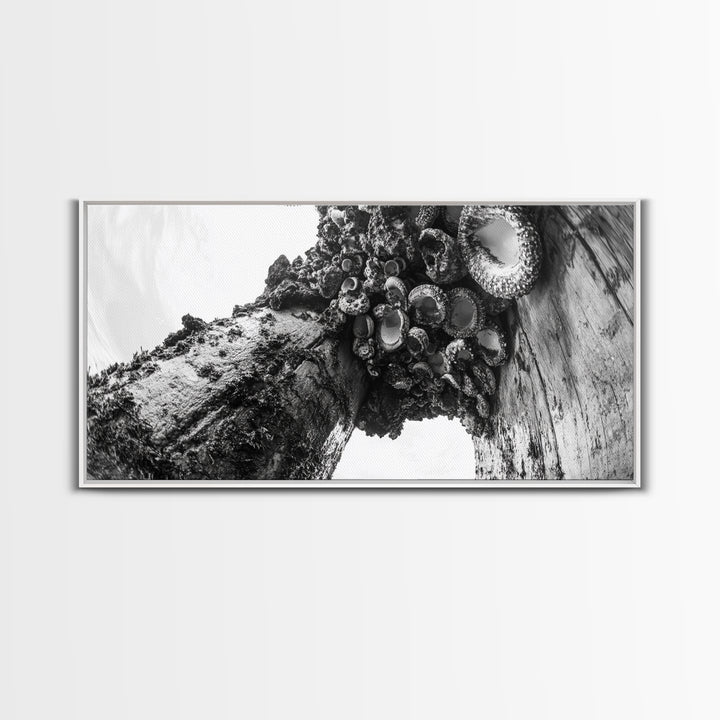 Coastal Texture, Tidepool Abstract, Modern Ocean Nature, Framed Canvas Print, Bathroom Wall Art, Marine Minimalist Photography