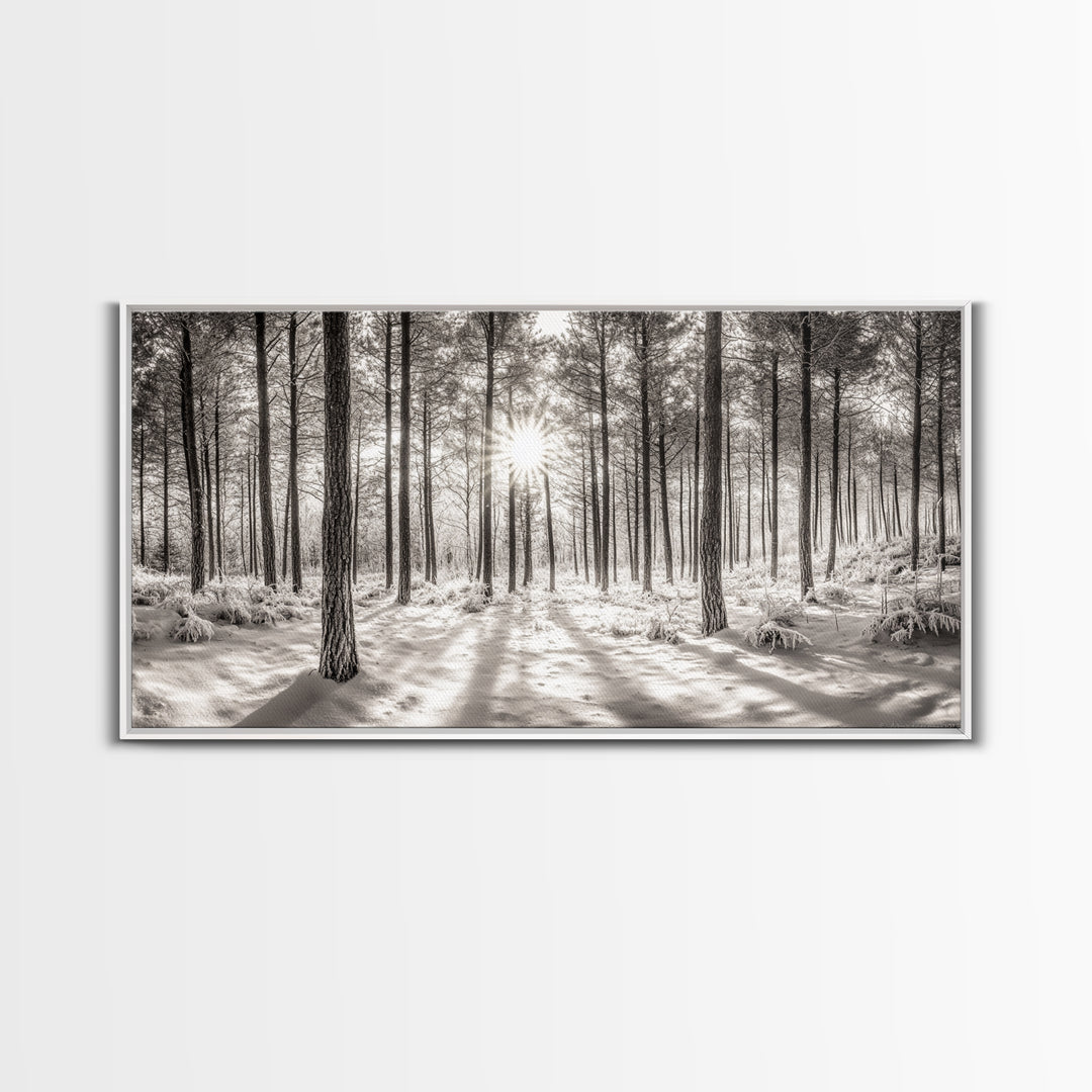 Winter Pine Forest, Sunlight Snow Trees, Nature Landscape Photography, Framed Canvas Print, Cabin Decor, Minimalist Wall Art