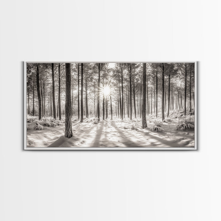 Winter Pine Forest, Sunlight Snow Trees, Nature Landscape Photography, Framed Canvas Print, Cabin Decor, Minimalist Wall Art