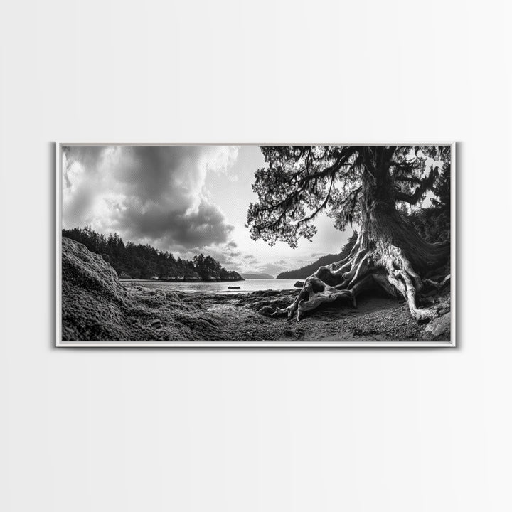 Coastal Tree Roots, Ancient Forest Shore, Pacific Northwest Nature, Moody Black and White Canvas Print, Cabin Wall Art, Woodland Style