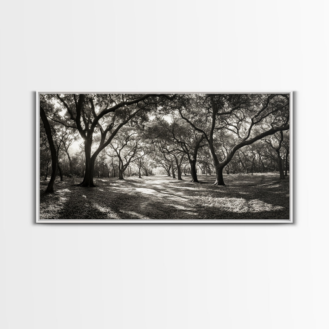 Oak Tree Path, Autumn Forest Glow, Nature Trail Photography, Framed Canvas Print, Hallway Wall Art, Earthy Decor, Woodland Art