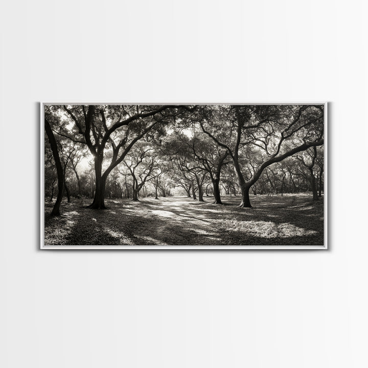 Oak Tree Path, Autumn Forest Glow, Nature Trail Photography, Framed Canvas Print, Hallway Wall Art, Earthy Decor, Woodland Art