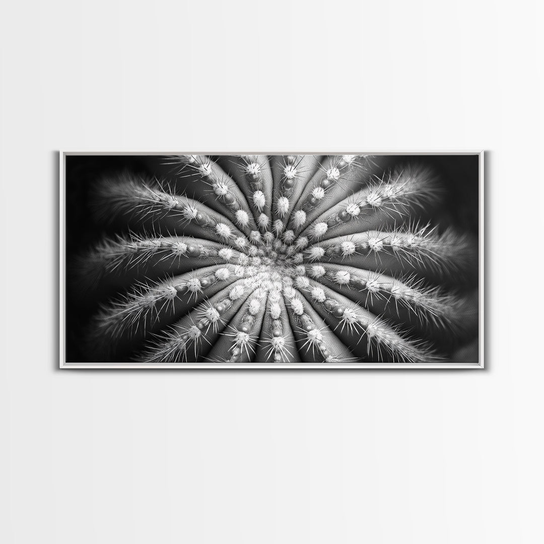 Cactus Spiral, Desert Bloom, Nature Closeup, Modern Decor, Framed Canvas Print, Minimalist Botanical Art, Office Wall Art, Succulent Texture