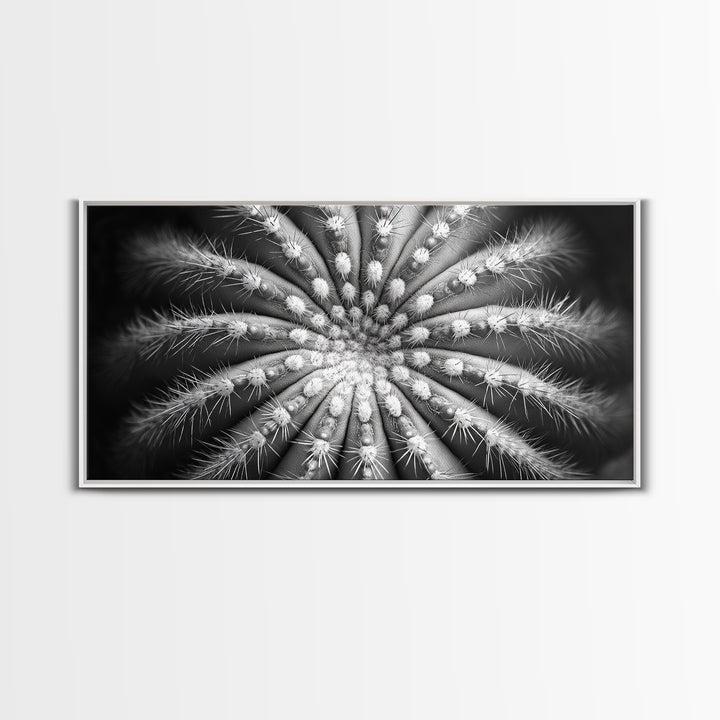 Cactus Spiral, Desert Bloom, Nature Closeup, Modern Decor, Framed Canvas Print, Minimalist Botanical Art, Office Wall Art, Succulent Texture