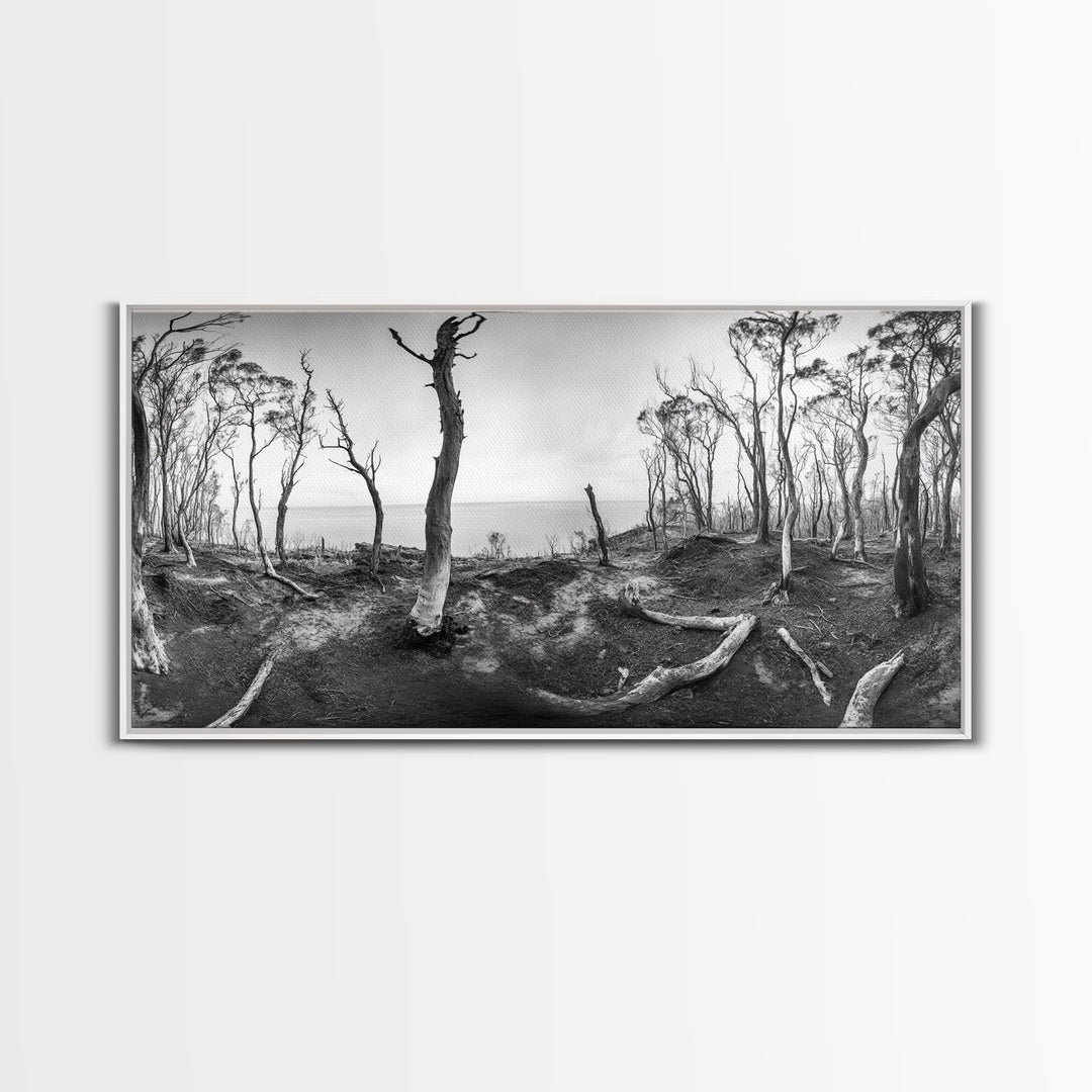 Burnt Forest, Moody Trees, Coastal Landscape, Nature Scene, Framed Canvas Print, Rustic Wall Art, Boho Decor, Fall Home Aesthetic