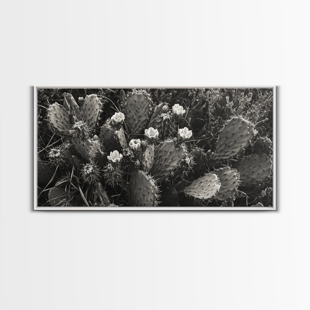 Cactus Blooms, Desert Flowers, Prickly Pear, Nature Closeup, Framed Canvas Print, Southwestern Art, Kitchen Wall Art, Boho Style