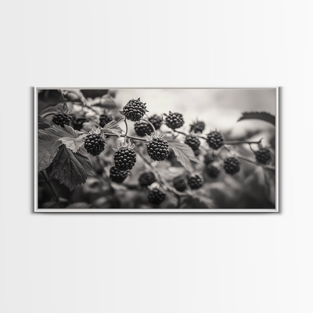 Blackberries on Vine, Farmhouse Kitchen Art, Rustic Fruit Wall Decor, Country Style, Autumn Botanical Photography, Canvas Print