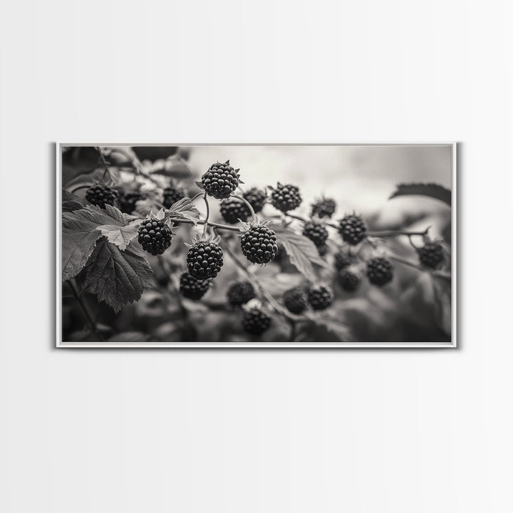Blackberries on Vine, Farmhouse Kitchen Art, Rustic Fruit Wall Decor, Country Style, Autumn Botanical Photography, Canvas Print