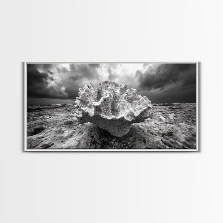 Coral Texture, Ocean Storm, Dramatic Sky, Sea Fossil, Framed Canvas Print, Coastal Nature Art, Fall Entryway Wall Decor, Cabin Wall Art
