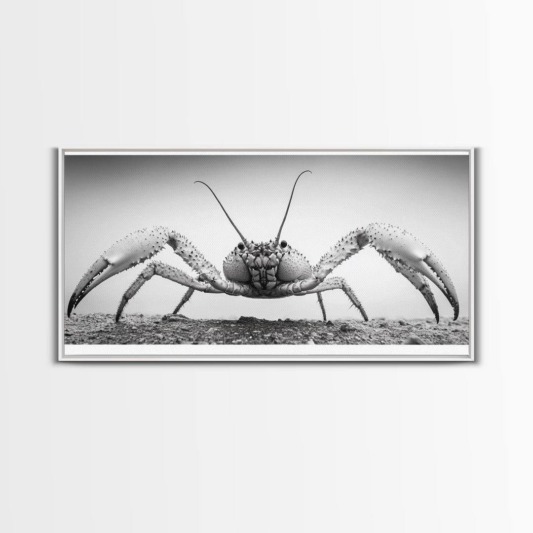 Crab Art, Beach Creature, Monochrome Photography, Nature Close-Up, Framed Canvas Print, Coastal Bathroom Art, Marine Home Style