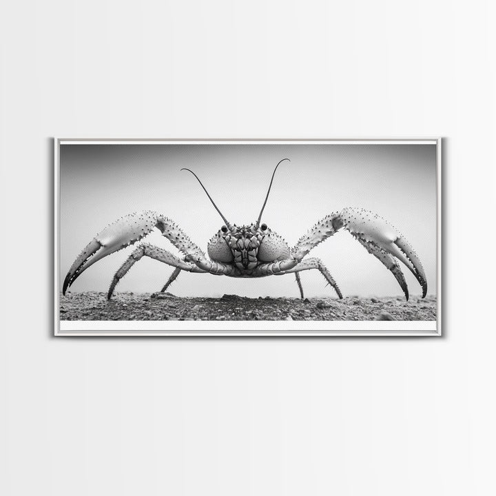 Crab Art, Beach Creature, Monochrome Photography, Nature Close-Up, Framed Canvas Print, Coastal Bathroom Art, Marine Home Style