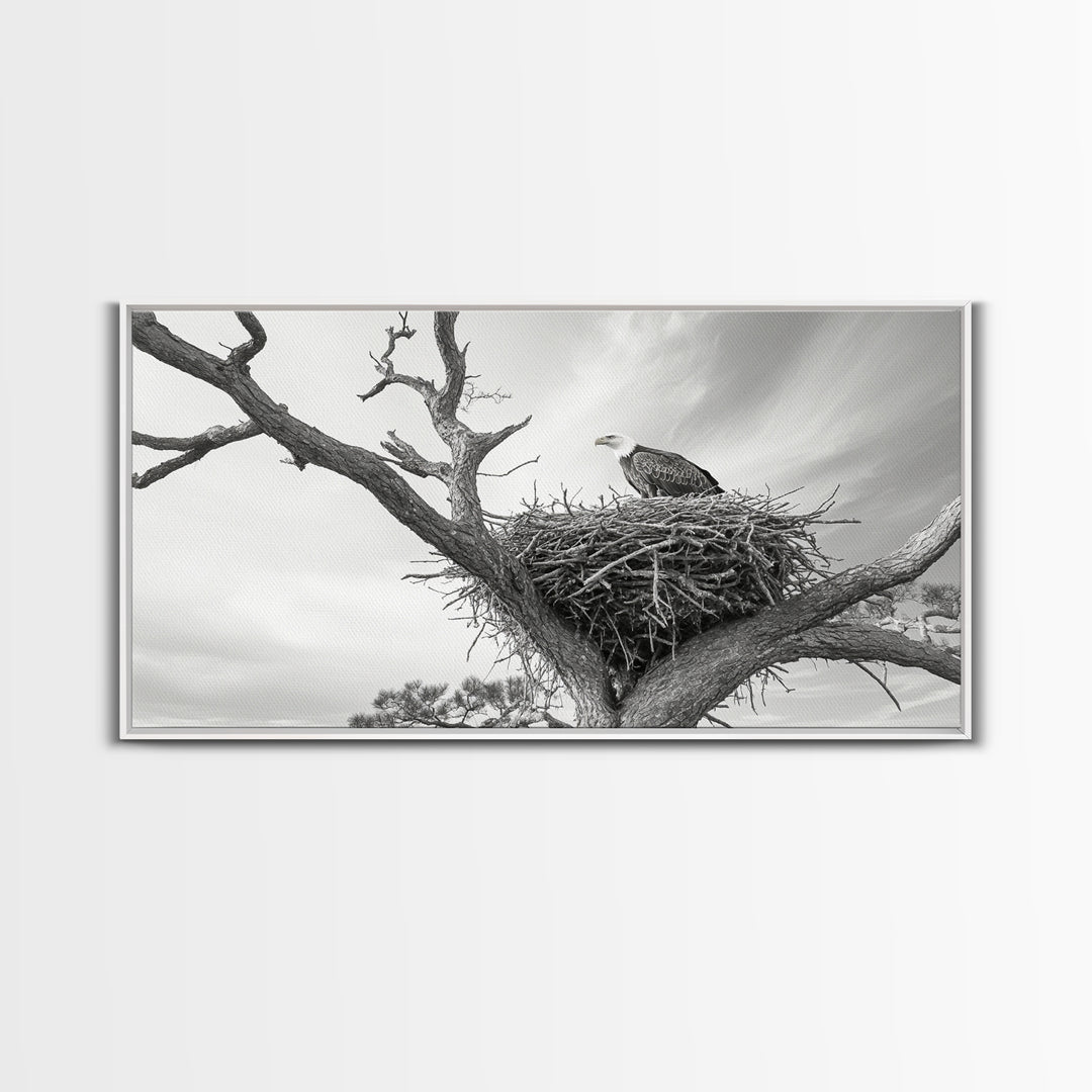 Bald Eagle Nest, Wildlife Nature Art, Rustic Cabin Decor, Framed Canvas Print, Patriotic Office Wall Art, Woodland Photography