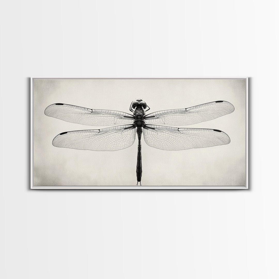 Dragonfly Sketch, Insect Art Print, Botanical Illustration, Minimalist Natural History, Framed Canvas Print, Office or Study Wall Art