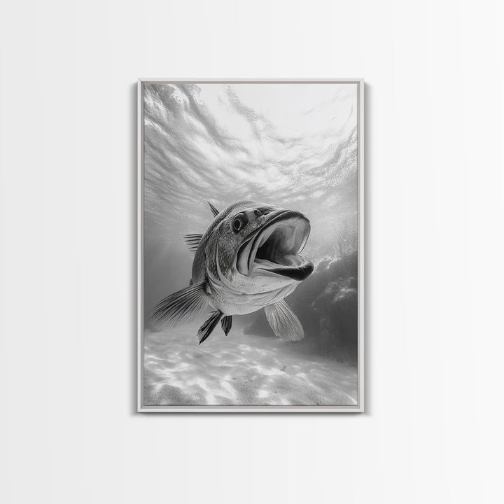 Underwater Fish, Ocean Predator, Aquatic Wildlife, Canvas Print, Bathroom Wall Art, Coastal Nautical Decor, Marine Photography