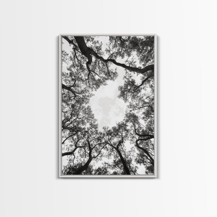 Forest Canopy View, Tree Tops Art, Nature Sky Print, Framed Canvas Print, Bedroom Wall Art, Minimalist Nature, Modern Rustic Decor