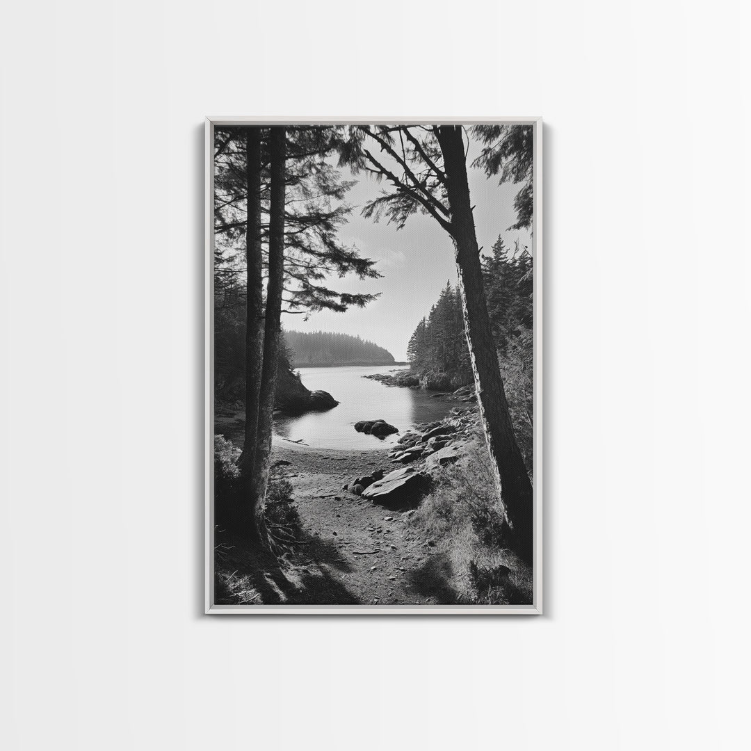 Woodland Cove Path, Tranquil Forest Scene, Nature Escape Art, Canvas Print, Cabin Wall Art, Coastal Boho Decor, Black White Landscape