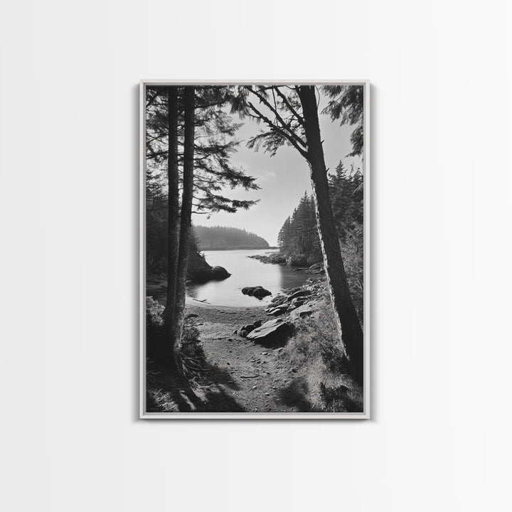 Woodland Cove Path, Tranquil Forest Scene, Nature Escape Art, Canvas Print, Cabin Wall Art, Coastal Boho Decor, Black White Landscape