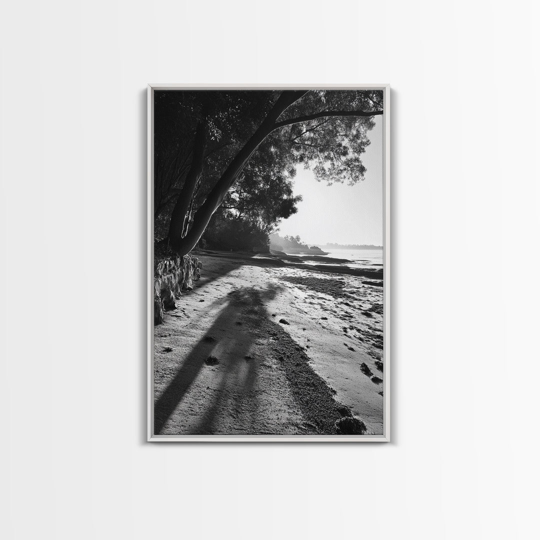 Coastal Shadows Path, Black and White Landscape, Framed Canvas Print, Entryway Art, Calm Nature Scene, Moody Coastal Wall Decor