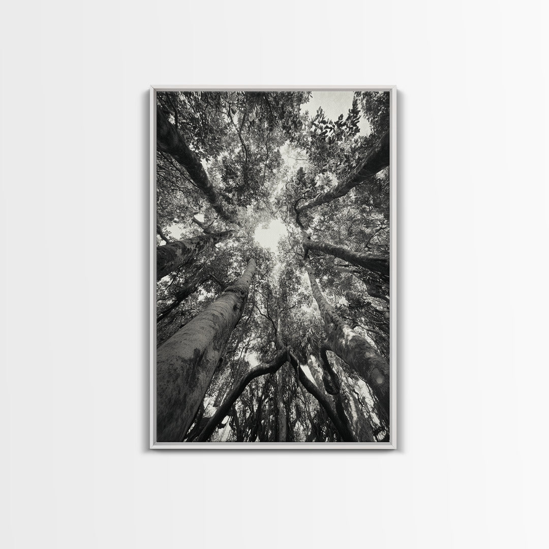 Tree Canopy, Forest Light, Upward View, Canvas Print, Woodland Wall Art, Living Room Decor, Nature Perspective Photography