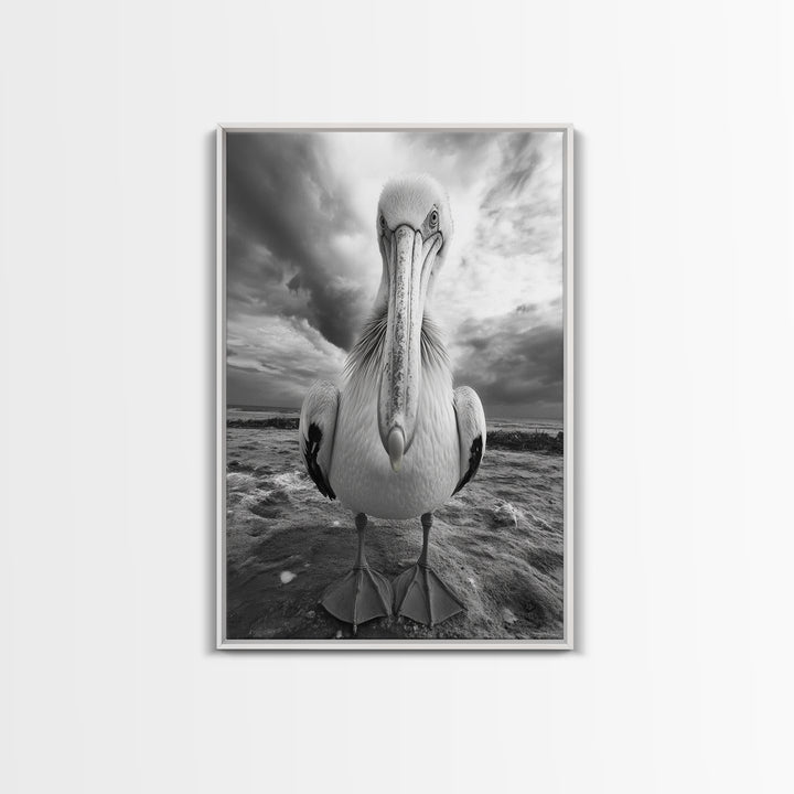 Bold Pelican, Coastal Storm, Bird Portrait, Canvas Print, wildlife wall art, beach house decor, dramatic black and white animal art