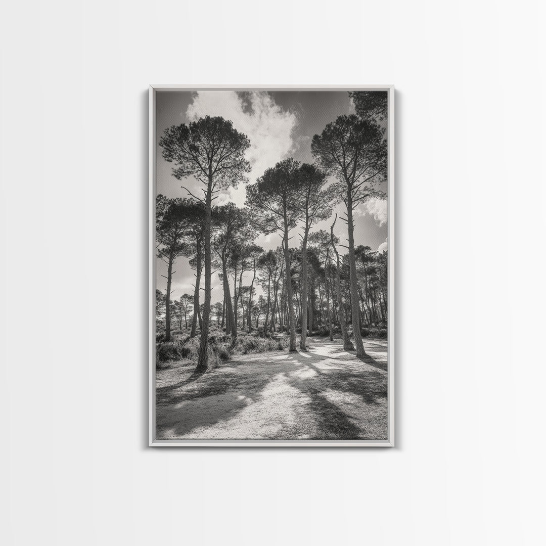 Forest Shadows, Tall Pines, Natural Light, Framed Canvas Print, woodland landscape, rustic cabin decor, autumn forest art
