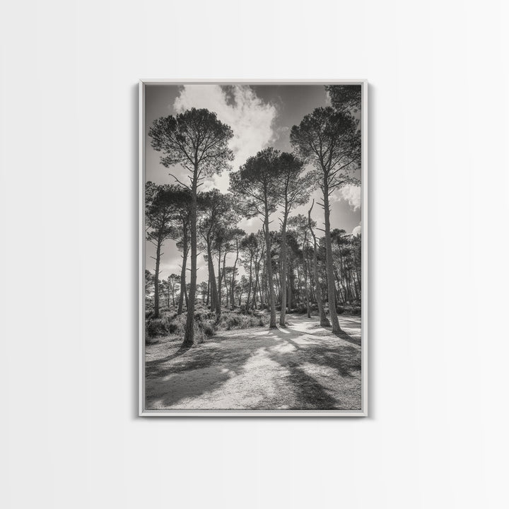 Forest Shadows, Tall Pines, Natural Light, Framed Canvas Print, woodland landscape, rustic cabin decor, autumn forest art