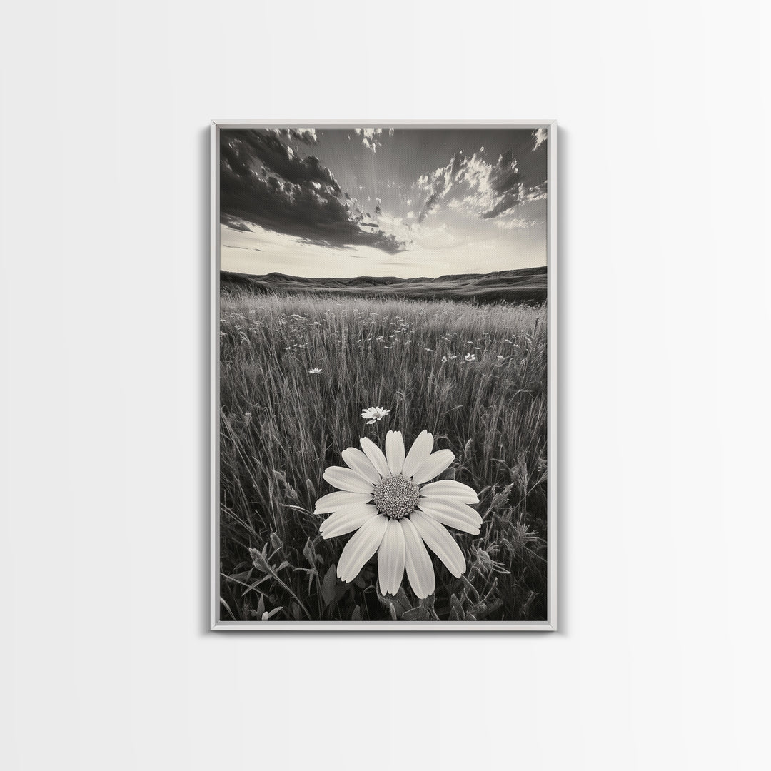 Wildflower Field, Daisy Bloom, Summer Meadow, Framed Canvas Print, Boho Botanical Wall Art, Bedroom Decor, Earthy Nature Photography