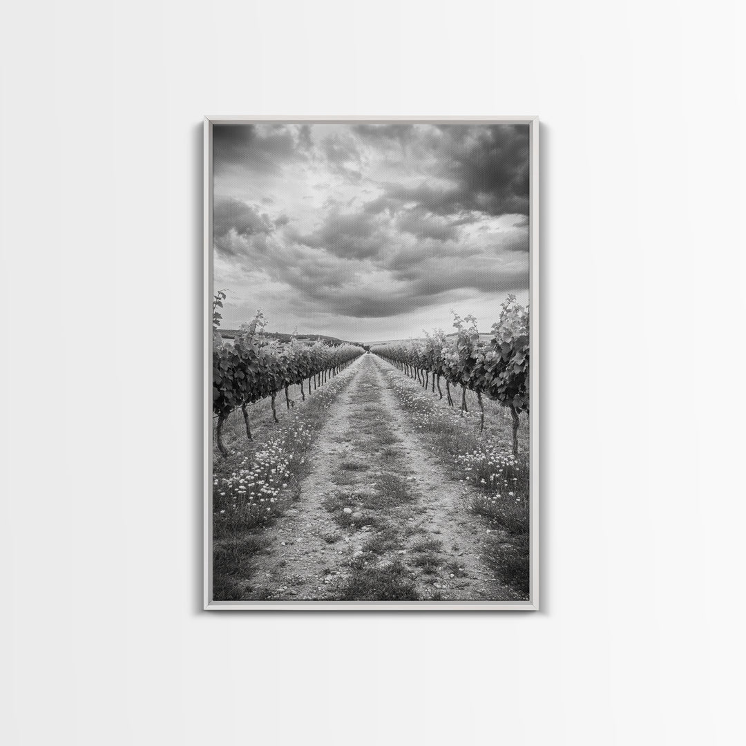 Vineyard Rows, Cloudy Skies, Countryside Path, Canvas Print, Farmhouse Wall Art, Kitchen or Dining Decor, Rustic Landscape Photo