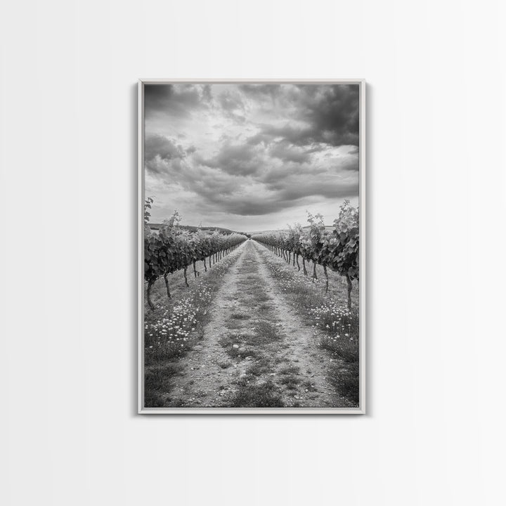 Vineyard Rows, Cloudy Skies, Countryside Path, Canvas Print, Farmhouse Wall Art, Kitchen or Dining Decor, Rustic Landscape Photo